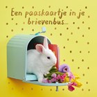 Paaskaart konijntje in brievenbus